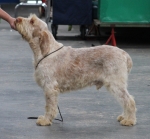 Filename=I-Galaxi.jpg
Filesize=211KiB
Dimensions=800x746
Date added=Mar 23, 2021 I-Galaxi.jpg