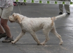 Filename=S-Skylark-1.jpg
Filesize=178KiB
Dimensions=800x581
Date added=Mar 23, 2021 S-Skylark-1.jpg