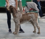 Filename=S-Valentino.jpg
Filesize=218KiB
Dimensions=800x693
Date added=Mar 23, 2021 S-Valentino.jpg