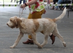 Filename=T-LuthienTinuviel-1.jpg
Filesize=193KiB
Dimensions=800x587
Date added=Mar 23, 2021 T-LuthienTinuviel-1.jpg