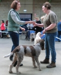 Filename=Best_Puppy_28129.jpg
Filesize=104KiB
Dimensions=775x960
Date added=Mar 23, 2021 Best_Puppy_28129.jpg