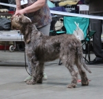 Filename=M-Hugo.jpg
Filesize=242KiB
Dimensions=800x768
Date added=Mar 23, 2021 M-Hugo.jpg