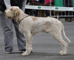 Filename=P-MontyBojangle.JPG
Filesize=142KiB
Dimensions=800x652
Date added=Mar 23, 2021 P-MontyBojangle.JPG