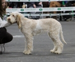 Filename=Q-RussianVesna.JPG
Filesize=155KiB
Dimensions=800x657
Date added=Mar 23, 2021 Q-RussianVesna.JPG