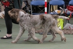Filename=Coldwell-4.jpg
Filesize=186KiB
Dimensions=800x536
Date added=Mar 23, 2021 Coldwell-4.jpg