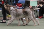 Filename=Coldwell-5.jpg
Filesize=183KiB
Dimensions=800x533
Date added=Mar 23, 2021 Coldwell-5.jpg