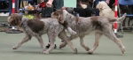 Filename=Coldwell-7.jpg
Filesize=138KiB
Dimensions=800x367
Date added=Mar 23, 2021 Coldwell-7.jpg