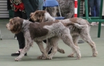 Filename=Coldwell-8.jpg
Filesize=171KiB
Dimensions=800x507
Date added=Mar 23, 2021 Coldwell-8.jpg