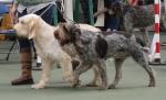 Filename=Fordham-11.jpg
Filesize=169KiB
Dimensions=800x487
Date added=Mar 23, 2021 Fordham-11.jpg