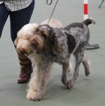Filename=Fordham-14.jpg
Filesize=220KiB
Dimensions=800x805
Date added=Mar 23, 2021 Fordham-14.jpg