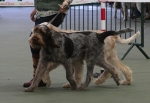 Filename=Fordham-16.jpg
Filesize=161KiB
Dimensions=800x552
Date added=Mar 23, 2021 Fordham-16.jpg