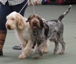 Filename=Fordham-2.jpg
Filesize=201KiB
Dimensions=800x687
Date added=Mar 23, 2021 Fordham-2.jpg