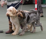 Filename=Fordham-3.jpg
Filesize=208KiB
Dimensions=800x688
Date added=Mar 23, 2021 Fordham-3.jpg