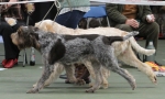 Filename=Fordham-4.jpg
Filesize=175KiB
Dimensions=800x483
Date added=Mar 23, 2021 Fordham-4.jpg