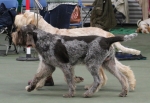 Filename=Fordham-5.jpg
Filesize=188KiB
Dimensions=800x552
Date added=Mar 23, 2021 Fordham-5.jpg