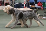 Filename=Fordham-6.jpg
Filesize=185KiB
Dimensions=800x538
Date added=Mar 23, 2021 Fordham-6.jpg