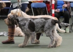 Filename=Fordham-9.jpg
Filesize=201KiB
Dimensions=800x581
Date added=Mar 23, 2021 Fordham-9.jpg