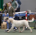 Filename=Ruby_Ball-1.jpg
Filesize=258KiB
Dimensions=800x770
Date added=Mar 23, 2021 Ruby_Ball-1.jpg