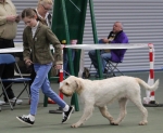 Filename=Ruby_Ball-12.jpg
Filesize=208KiB
Dimensions=800x661
Date added=Mar 23, 2021 Ruby_Ball-12.jpg