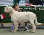 Filename=Ruby_Ball-16.jpg
Filesize=203KiB
Dimensions=800x637
Date added=Mar 23, 2021 Ruby_Ball-16.jpg