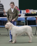 Filename=Ruby_Ball-17.jpg
Filesize=263KiB
Dimensions=800x975
Date added=Mar 23, 2021 Ruby_Ball-17.jpg