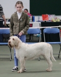 Filename=Ruby_Ball-18.jpg
Filesize=270KiB
Dimensions=800x1002
Date added=Mar 23, 2021 Ruby_Ball-18.jpg