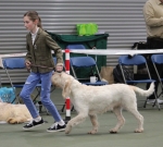 Filename=Ruby_Ball-9.jpg
Filesize=231KiB
Dimensions=800x723
Date added=Mar 23, 2021 Ruby_Ball-9.jpg