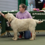 Filename=Summer_Griffin-12.jpg
Filesize=247KiB
Dimensions=800x791
Date added=Mar 23, 2021 Summer_Griffin-12.jpg