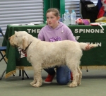 Filename=Summer_Griffin-13.jpg
Filesize=235KiB
Dimensions=800x728
Date added=Mar 23, 2021 Summer_Griffin-13.jpg