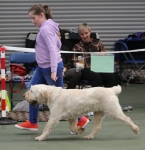 Filename=Summer_Griffin-3.jpg
Filesize=245KiB
Dimensions=800x824
Date added=Mar 23, 2021 Summer_Griffin-3.jpg