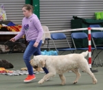 Filename=Summer_Griffin-5.jpg
Filesize=218KiB
Dimensions=800x700
Date added=Mar 23, 2021 Summer_Griffin-5.jpg