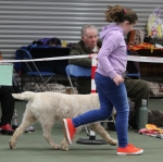 Filename=Summer_Griffin-8.jpg
Filesize=255KiB
Dimensions=800x798
Date added=Mar 23, 2021 Summer_Griffin-8.jpg