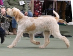Filename=I-Mima.jpg
Filesize=186KiB
Dimensions=800x622
Date added=Mar 23, 2021 I-Mima.jpg