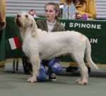 Filename=Julietta-TheogoniaBlack.jpg
Filesize=222KiB
Dimensions=800x727
Date added=Mar 23, 2021 Julietta-TheogoniaBlack.jpg