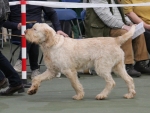 Filename=K-EbrelFyllys-4.jpg
Filesize=190KiB
Dimensions=800x607
Date added=Mar 23, 2021 K-EbrelFyllys-4.jpg