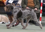 Filename=L-Catequil-5.jpg
Filesize=193KiB
Dimensions=800x567
Date added=Mar 23, 2021 L-Catequil-5.jpg
