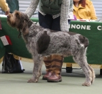 Filename=L-Catequil.jpg
Filesize=244KiB
Dimensions=800x740
Date added=Mar 23, 2021 L-Catequil.jpg