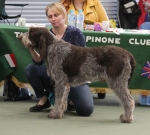 Filename=L-Morello.jpg
Filesize=236KiB
Dimensions=800x722
Date added=Mar 23, 2021 L-Morello.jpg