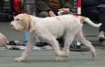 Filename=L-Polydeuces-3.jpg
Filesize=157KiB
Dimensions=800x513
Date added=Mar 23, 2021 L-Polydeuces-3.jpg