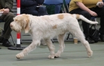 Filename=L-Polydeuces-4.jpg
Filesize=154KiB
Dimensions=800x514
Date added=Mar 23, 2021 L-Polydeuces-4.jpg