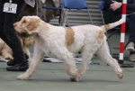 Filename=M-HarrysRock-2.jpg
Filesize=168KiB
Dimensions=800x543
Date added=Mar 23, 2021 M-HarrysRock-2.jpg
