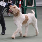 Filename=M-HarrysRock-3.jpg
Filesize=212KiB
Dimensions=800x816
Date added=Mar 23, 2021 M-HarrysRock-3.jpg