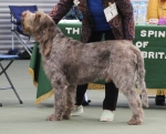 Filename=M-Hugo.jpg
Filesize=223KiB
Dimensions=800x650
Date added=Mar 23, 2021 M-Hugo.jpg