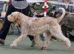 Filename=N-HesTheOne-1.jpg
Filesize=205KiB
Dimensions=800x597
Date added=Mar 23, 2021 N-HesTheOne-1.jpg