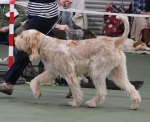 Filename=N-HesTheOne-2.jpg
Filesize=217KiB
Dimensions=800x653
Date added=Mar 23, 2021 N-HesTheOne-2.jpg