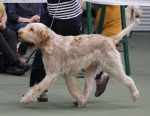 Filename=N-HesTheOne-3.jpg
Filesize=194KiB
Dimensions=800x619
Date added=Mar 23, 2021 N-HesTheOne-3.jpg