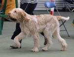 Filename=N-HesTheOne-4.jpg
Filesize=185KiB
Dimensions=800x623
Date added=Mar 23, 2021 N-HesTheOne-4.jpg