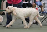 Filename=S-Colorado-3.jpg
Filesize=167KiB
Dimensions=800x554
Date added=Mar 23, 2021 S-Colorado-3.jpg