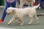 Filename=S-Iva-1.jpg
Filesize=159KiB
Dimensions=800x542
Date added=Mar 23, 2021 S-Iva-1.jpg