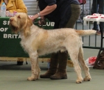 Filename=S-Sansiro.jpg
Filesize=217KiB
Dimensions=800x692
Date added=Mar 23, 2021 S-Sansiro.jpg